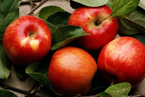 Manzanas brillantes con hojas en la mesa