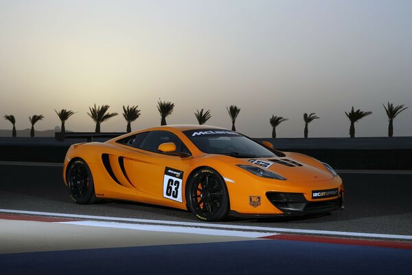 Lamborghini on the waterfront at dawn