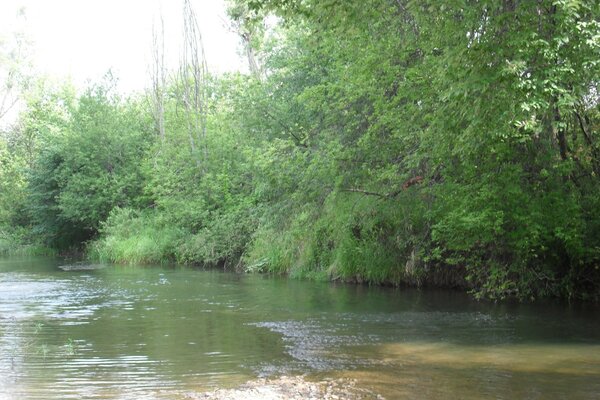 The river in the village on a summer day