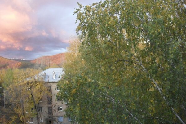 Blick aus dem Fenster eines Hochhauses mit Holz