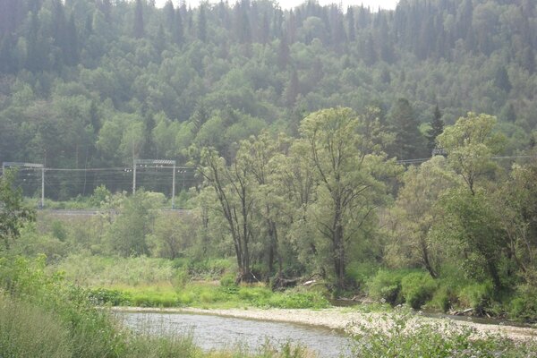 Forest with river and railway tracks