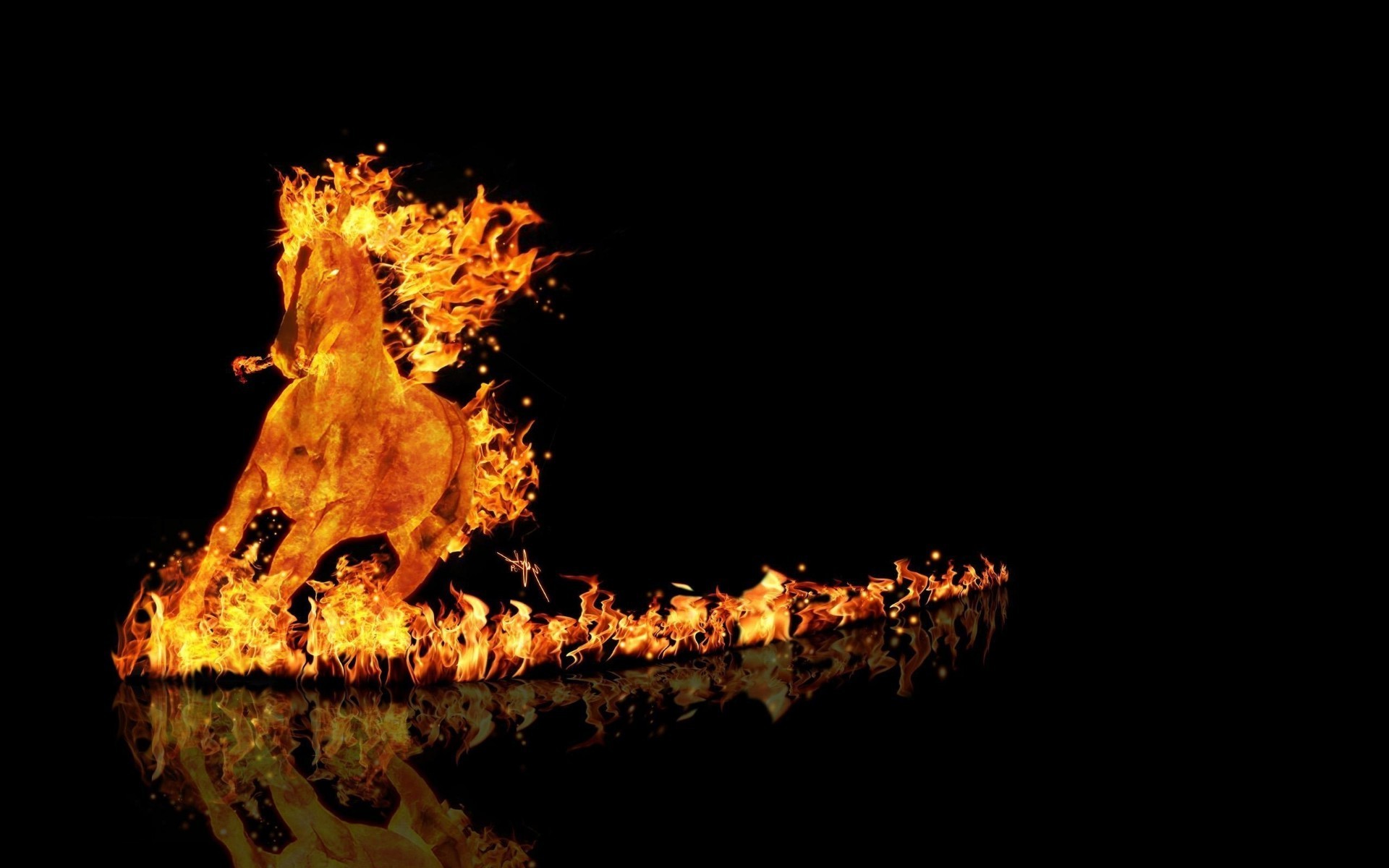 животные пламя горячая сжечь дым опасность энергии свет костер рабочего стола