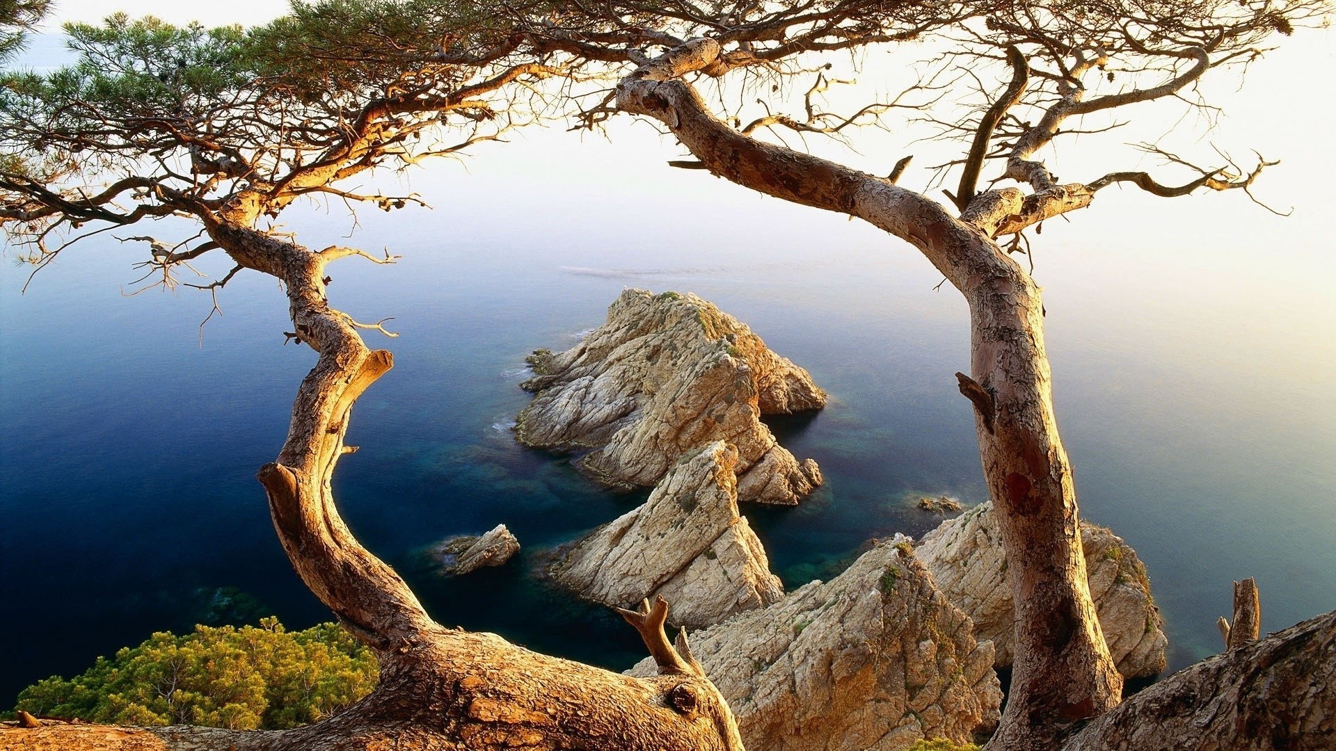 rocas rocas y piedras rocas y piedras árbol naturaleza agua paisaje madera cielo al aire libre viajes raíz medio ambiente parque mar roca amanecer