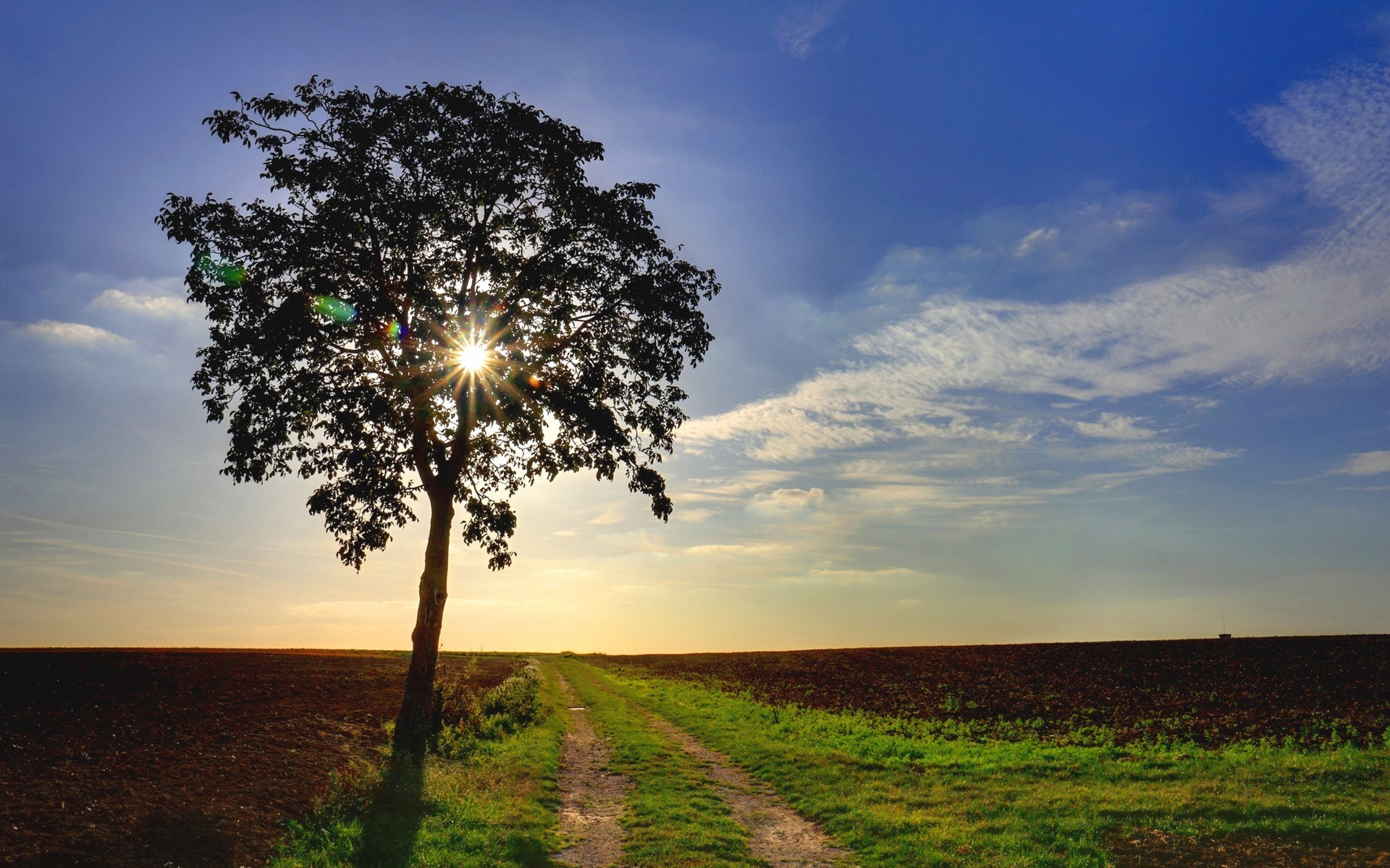 road sun landscape nature sky fair weather grass dawn tree rural summer field sunset countryside bright cloud outdoors