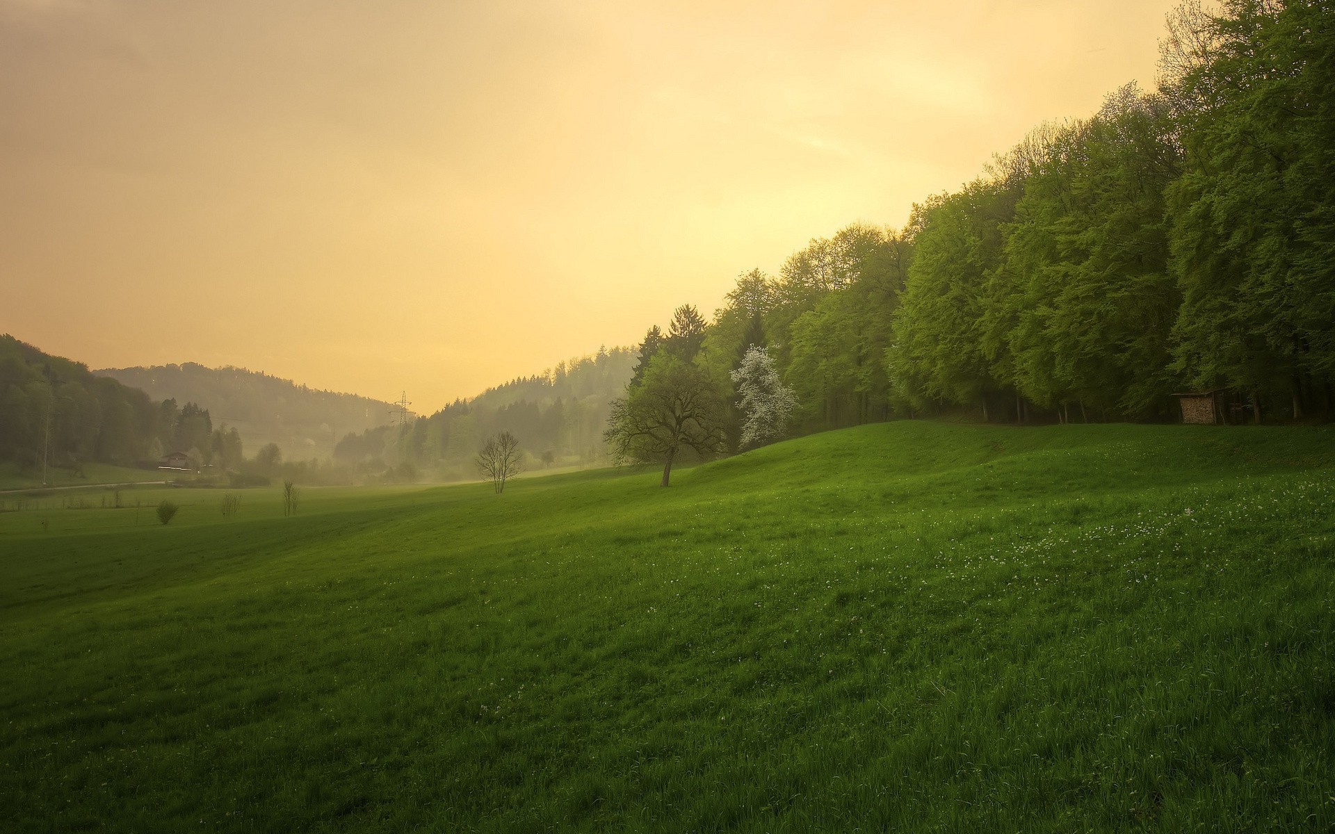 famous places landscape grass tree nature golf outdoors dawn hayfield daylight summer fog countryside hill field