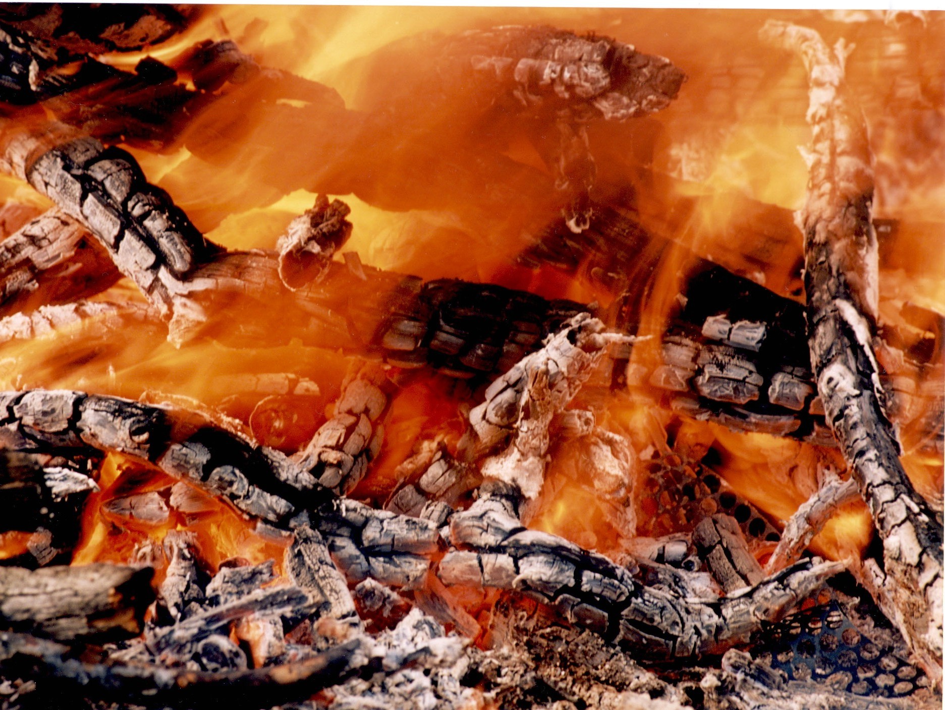 feu flamme fumée chaleur charbon de bois chaud brûler charbon de bois barbecue bureau nature