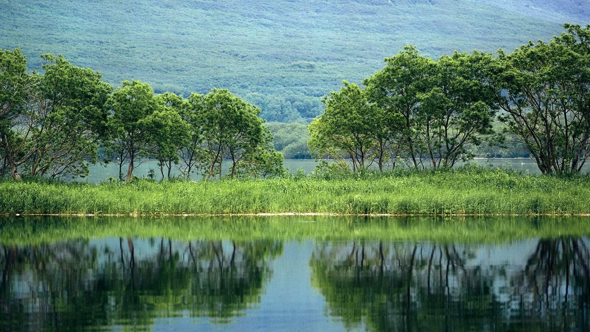 flüsse teiche und bäche teiche und bäche wasser natur reflexion fluss landschaft see baum himmel holz tropisch sommer gras ländlich schwimmbad reisen umwelt flora schön schauspiel