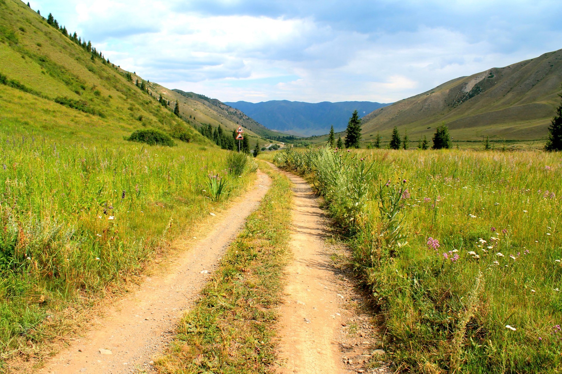 fields meadows and valleys landscape nature travel grass outdoors summer sky road rural scenic mountain countryside field hayfield hill wood