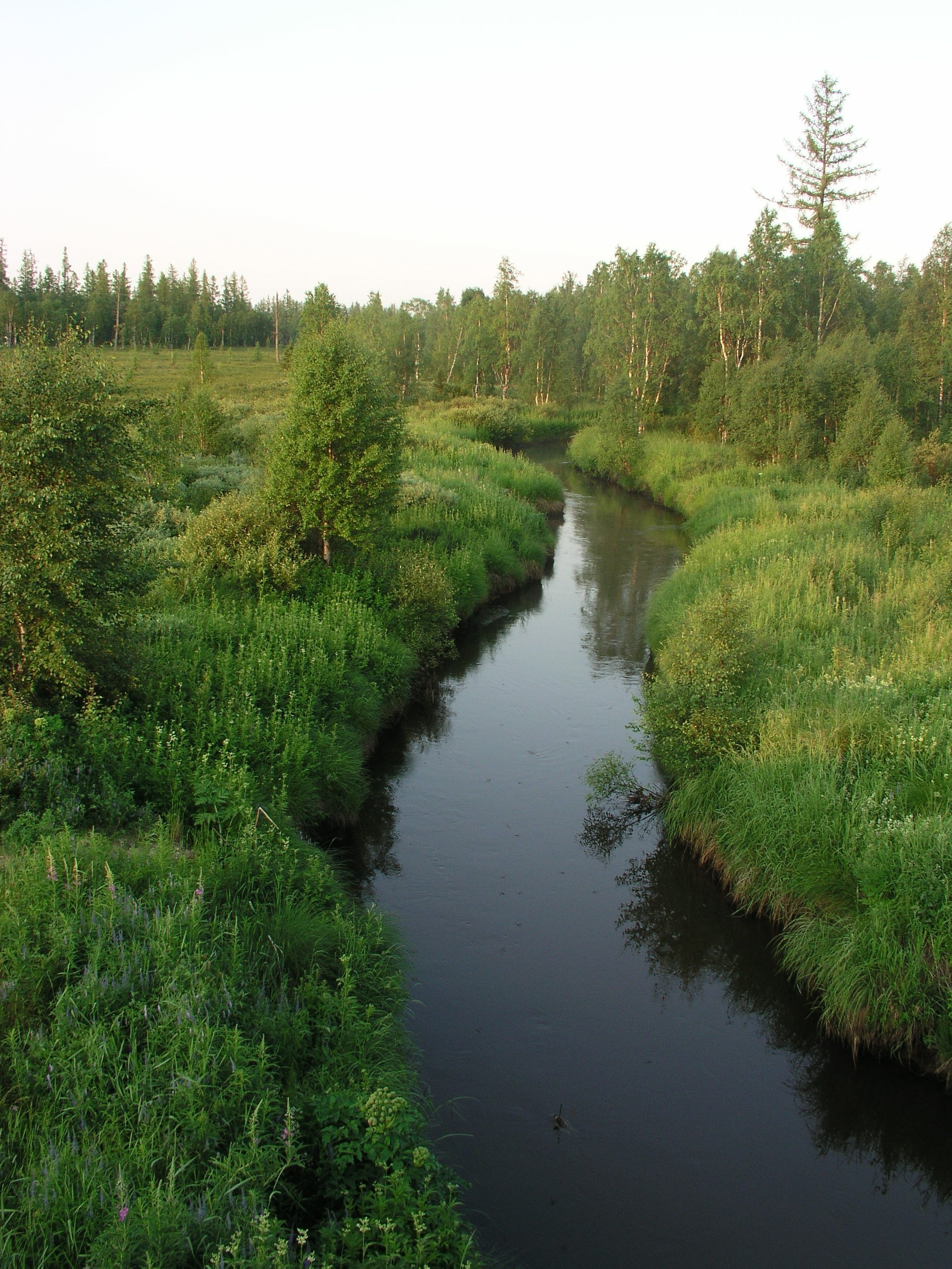 rivers ponds and streams water river nature landscape wood lake outdoors tree reflection travel summer scenic grass pool