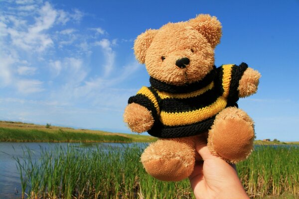 Children in nature on the background of grass and sky bear