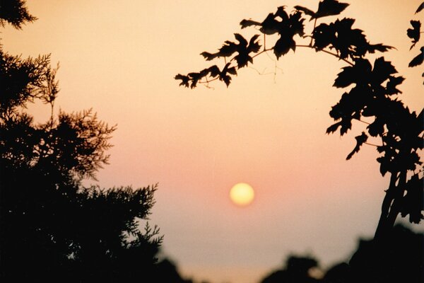 Fotos von Sonnenuntergängen und Lücken zum Öffnen