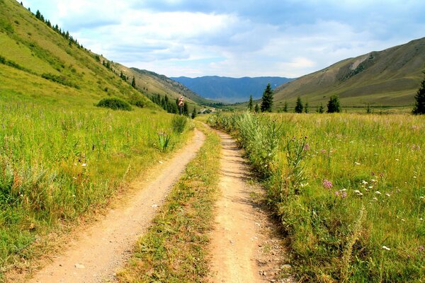 Сельская дорога в летний день