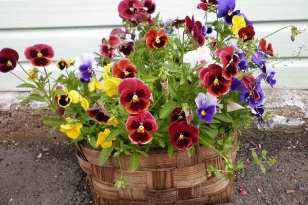 Bouquet di fiori in un cesto di vimini