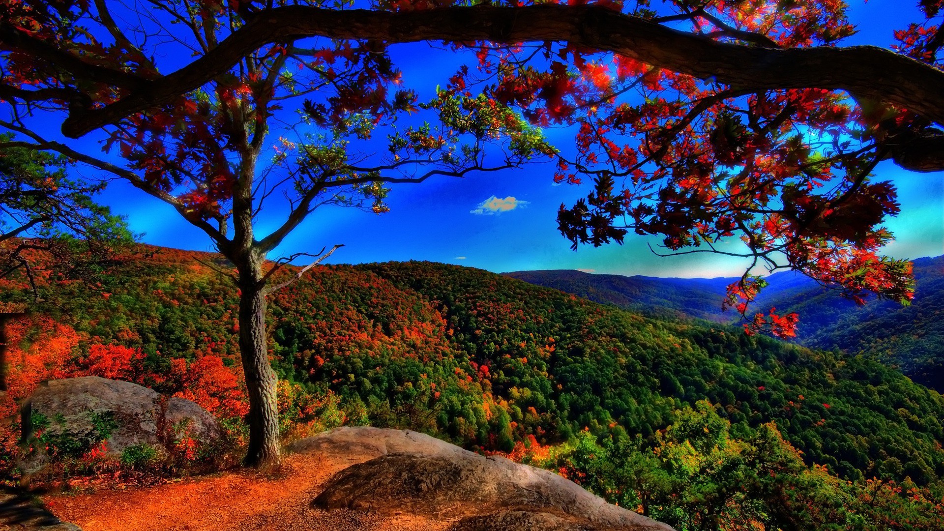 árboles árbol paisaje otoño naturaleza hoja puesta de sol madera escénico montañas al aire libre amanecer cielo viajes parque noche