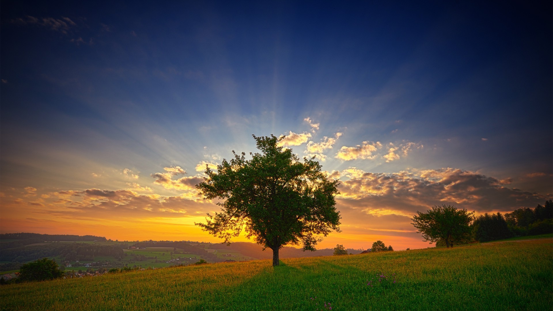 the sunset and sunrise sunset dawn sun evening sky landscape nature dusk fair weather tree outdoors countryside grass light silhouette backlit