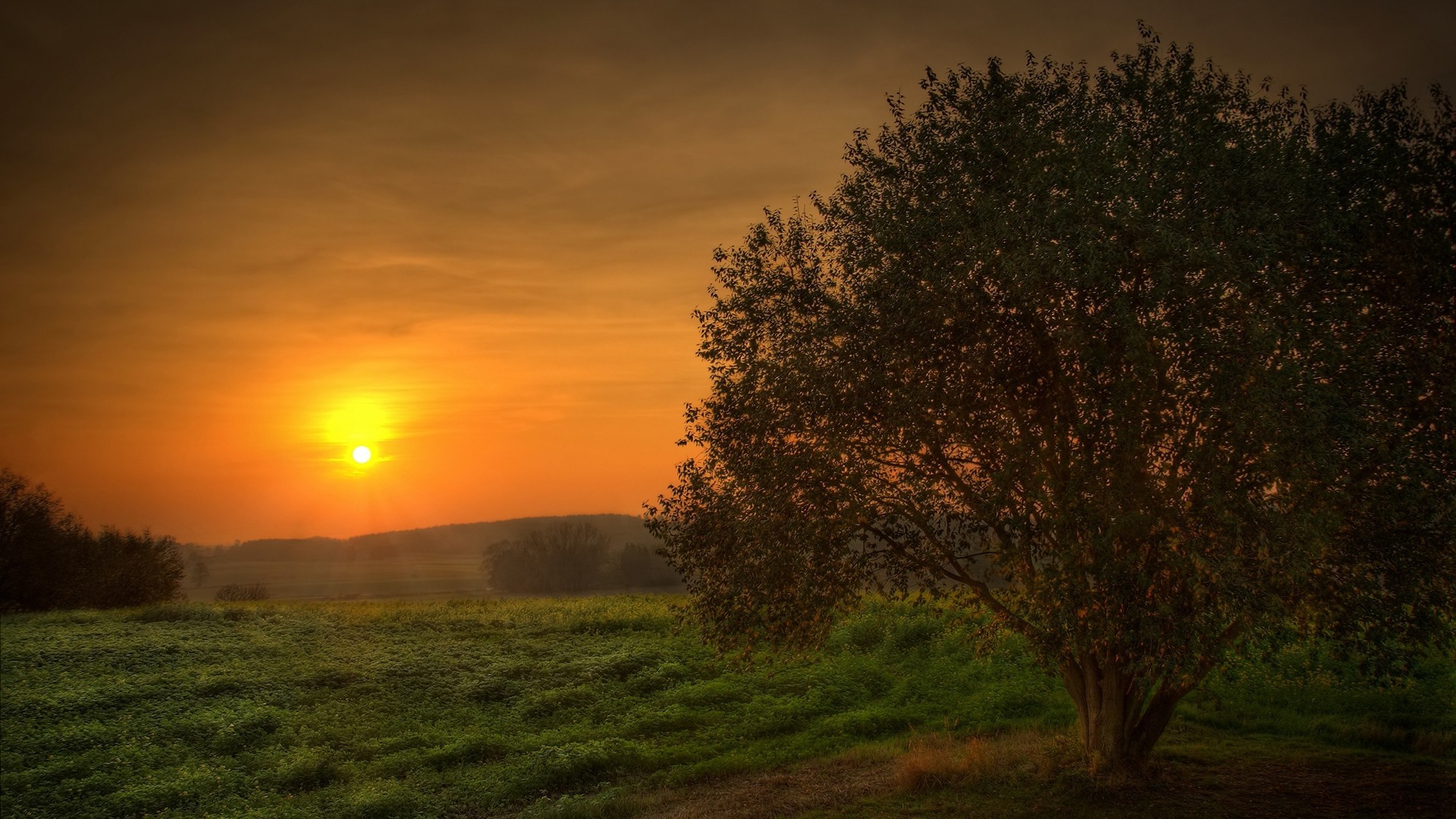 the sunset and sunrise dawn sunset sun landscape evening tree fog nature sky fair weather countryside dusk fall mist outdoors grass backlit silhouette