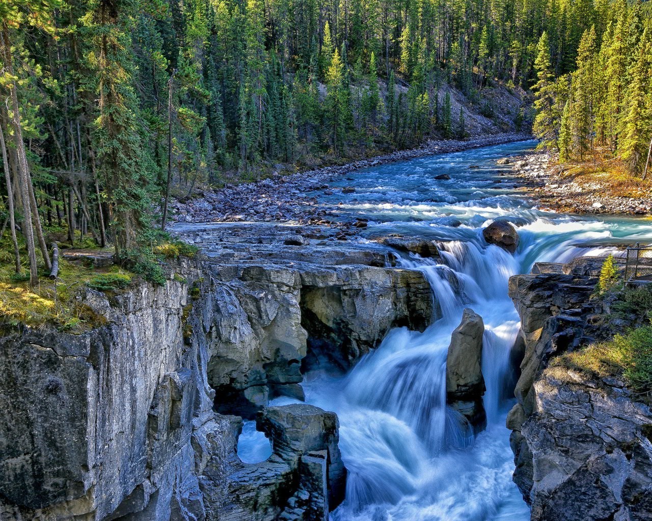 paysage eau bois rivière ruisseau cascade rock paysage nature scénique à l extérieur montagnes ruisseau arbre voyage cascade automne parc - rapids ruisseau