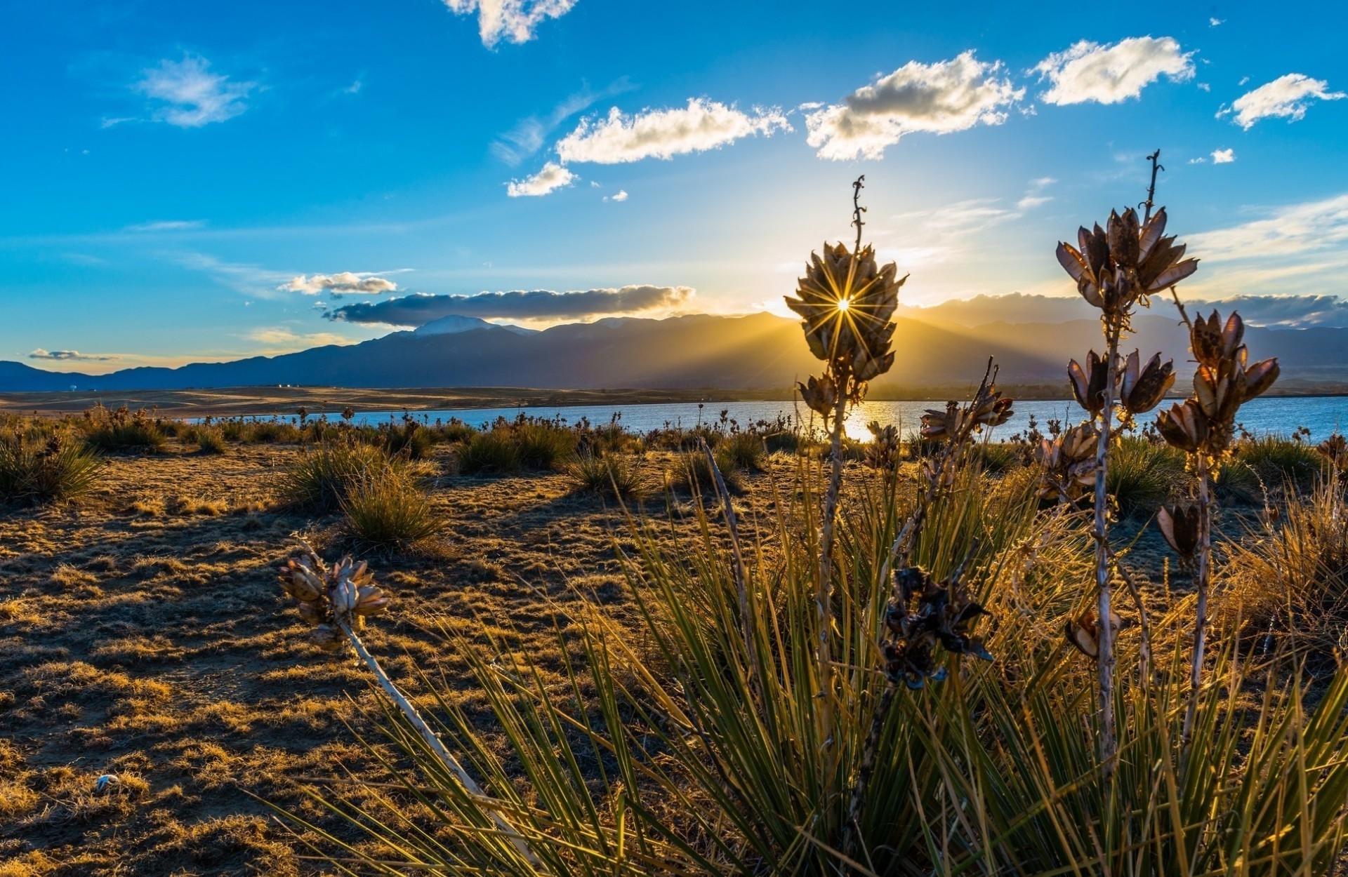 the sunset and sunrise landscape sunset sky dawn desert nature travel outdoors water evening sun cactus dusk lake