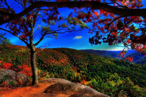 Herbstlandschaft - die Schönheit der Natur