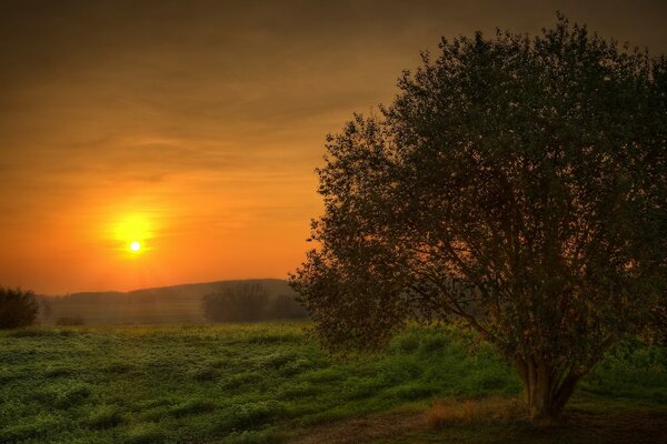 Hermosa puesta de sol escarlata en la naturaleza