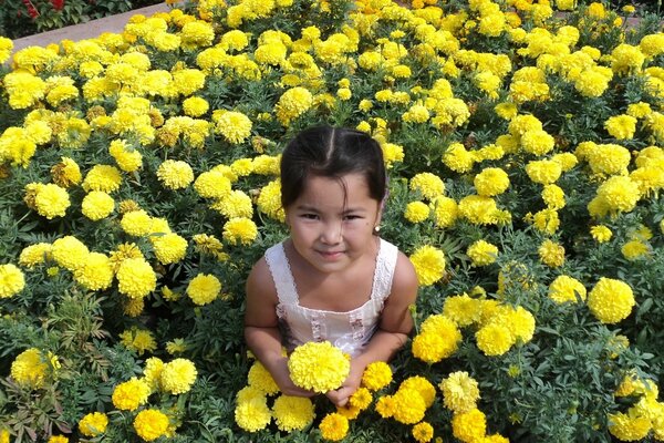 Cute girl surrounded by flowers of yellow marigolds