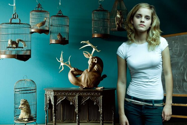 Young girl and cages with pets