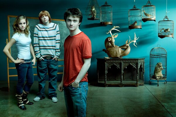 Le casting de Harry Potter