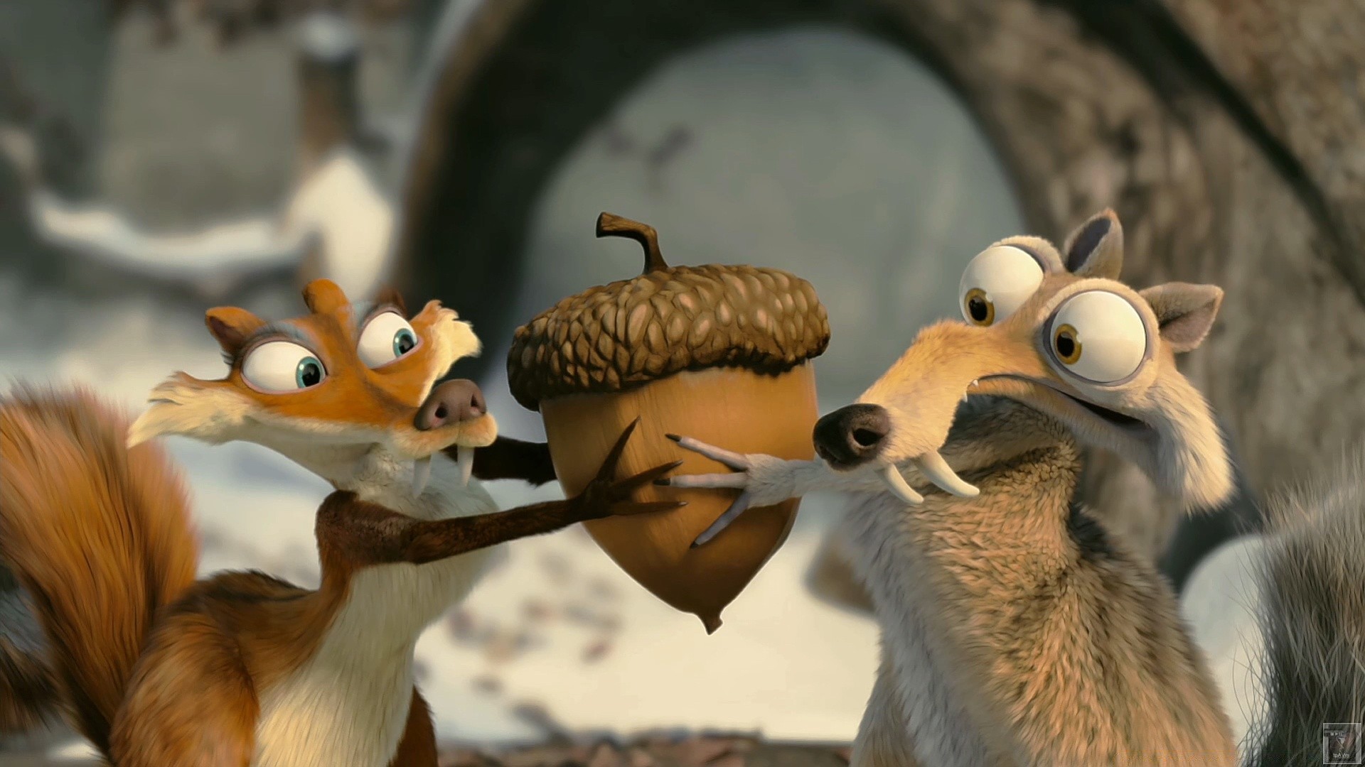 ice age дикой природы млекопитающее птица один зоопарк животное дневной свет на открытом воздухе природа два