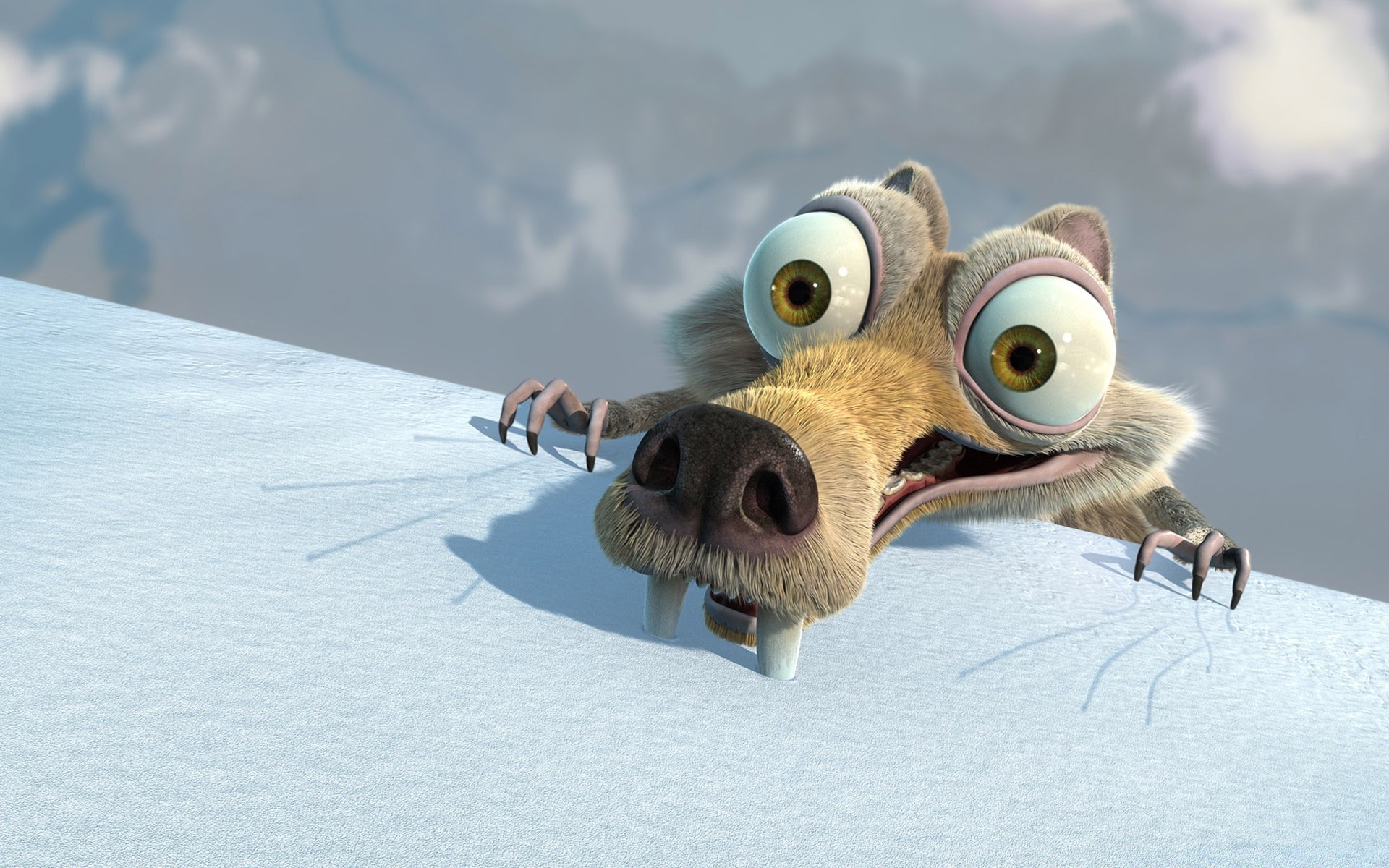 ice age сніг зима птах природа тварина холодна лід дикої природи морозний