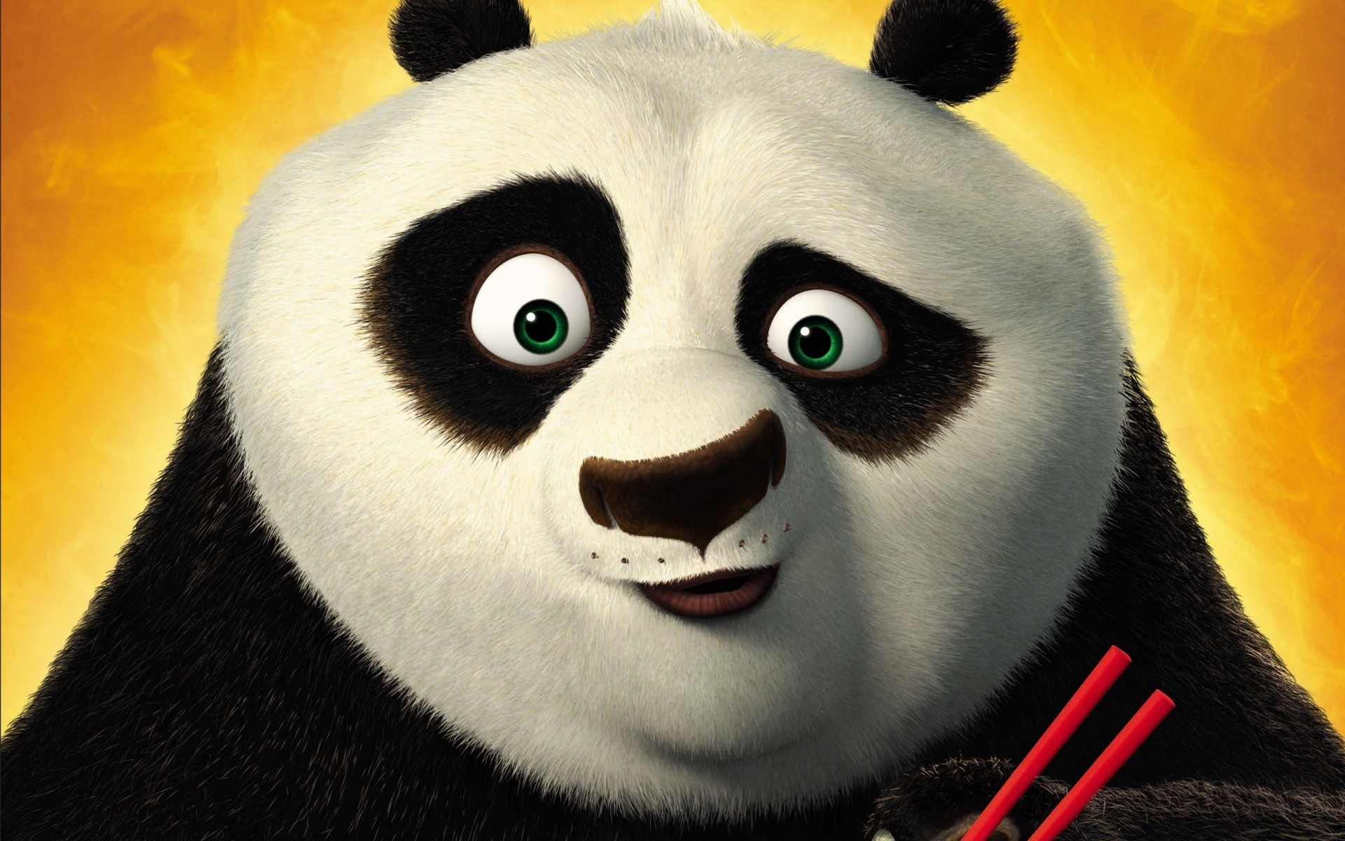 kung fu panda fauna animal retrato solo lindo mamífero ojo pájaro naturaleza cara divertido