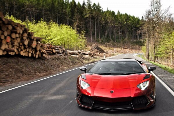 Un coche deportivo conduce por el camino en el bosque