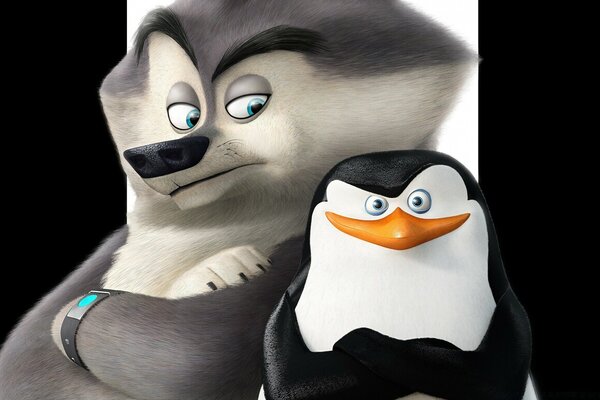 Loup et pingouin personnages de dessins animés Madagascar