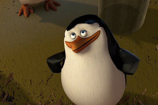 The penguin from Madagascar in full screen