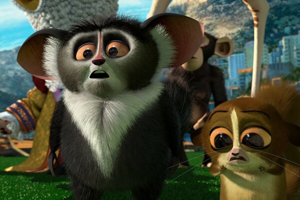 Madagaskar çizgi filminden hayvanlar izliyor