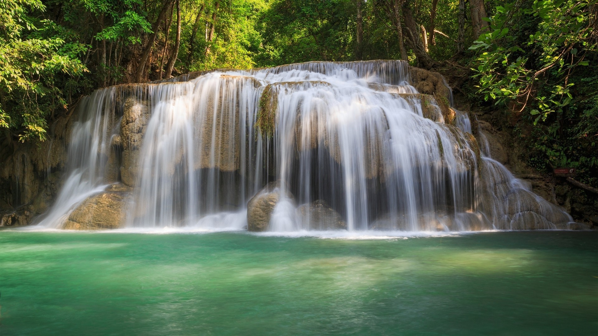 waterfalls waterfall water stream river nature cascade wood flow purity leaf rock fall wet outdoors splash motion creek lush clean