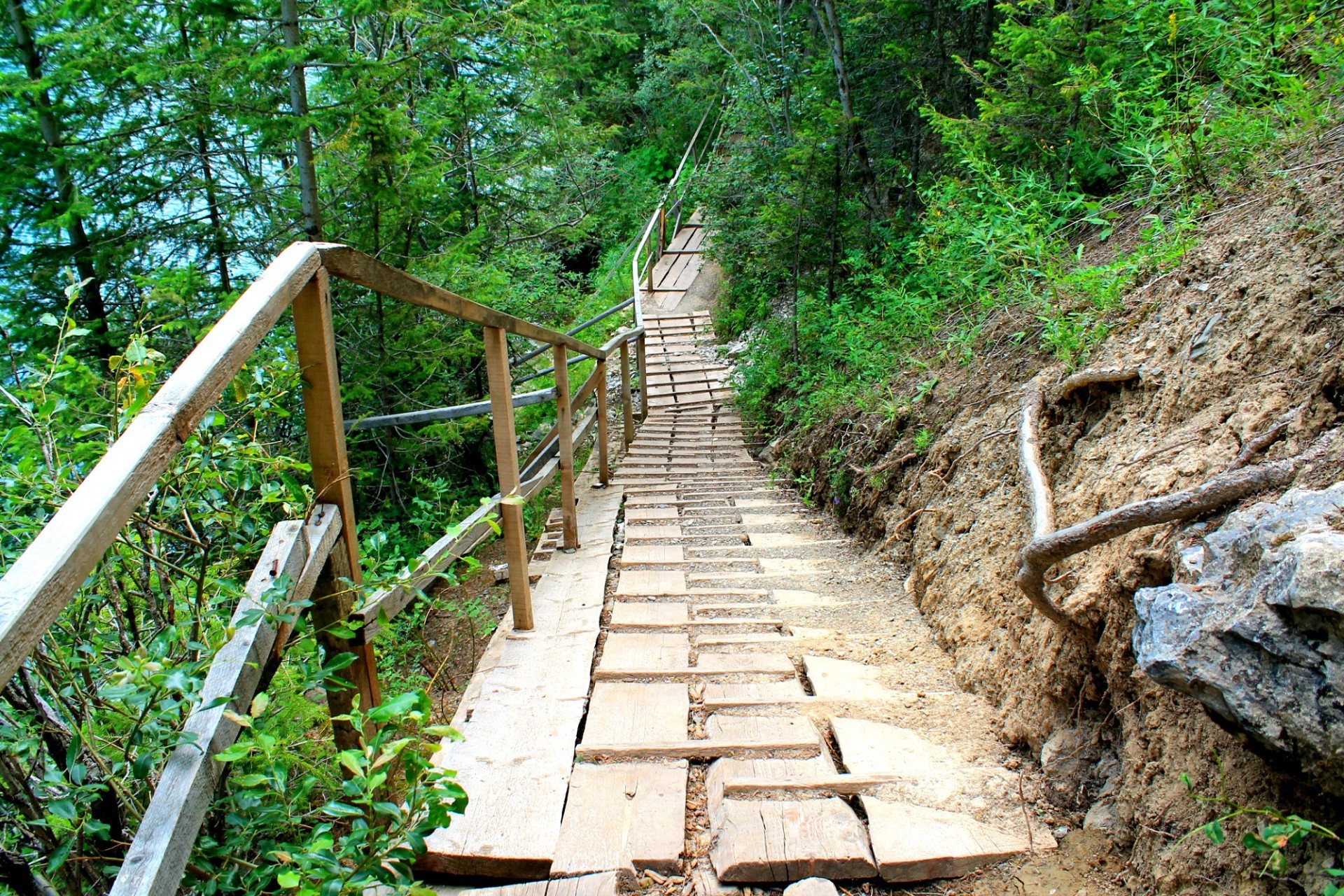 parchi legno natura guida foglia sentiero albero estate passo parco all aperto sentiero flora viaggio paesaggio trekking pietra strada ambiente ponte