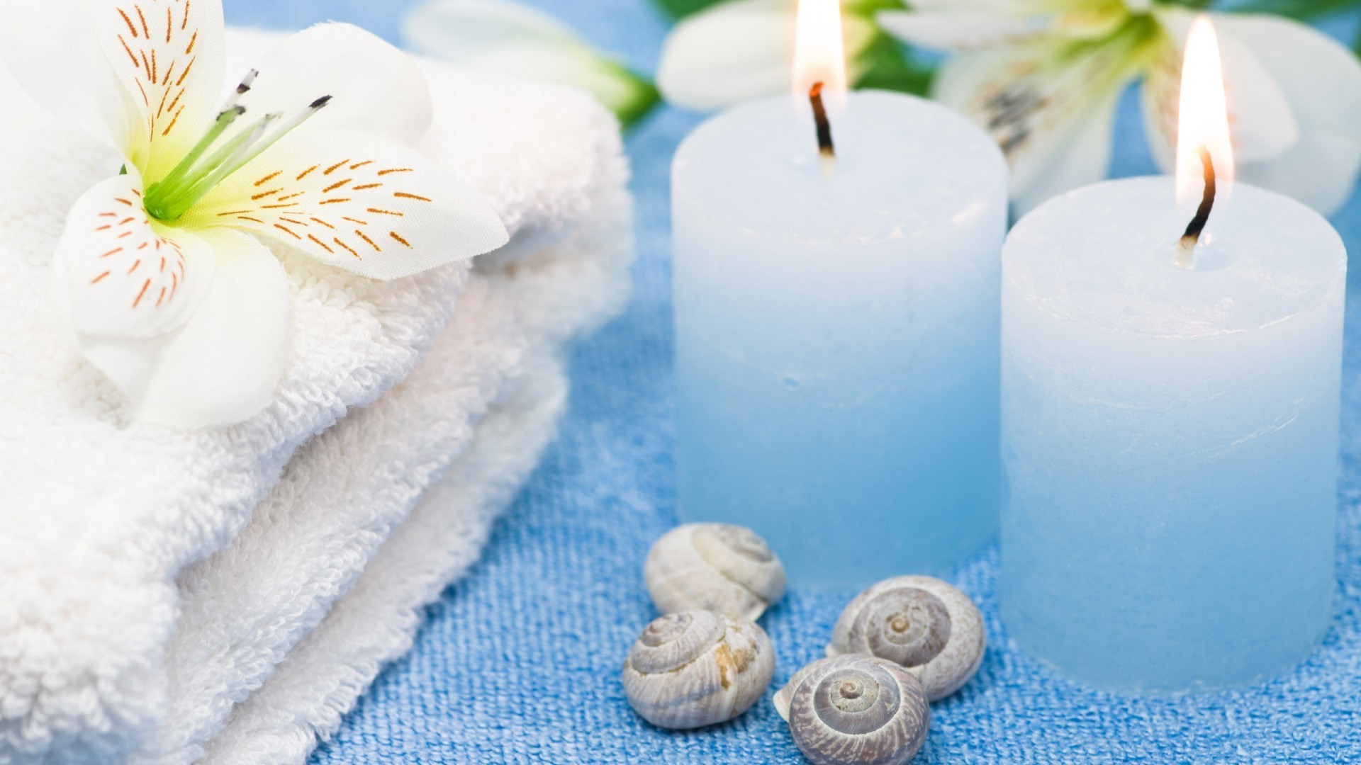 contrasti bagno relax trattamento aromaterapia terapia igiene zen candela asciugamano purezza armonia massaggio bagno sapone pulito natura fiore cura sangue freddo