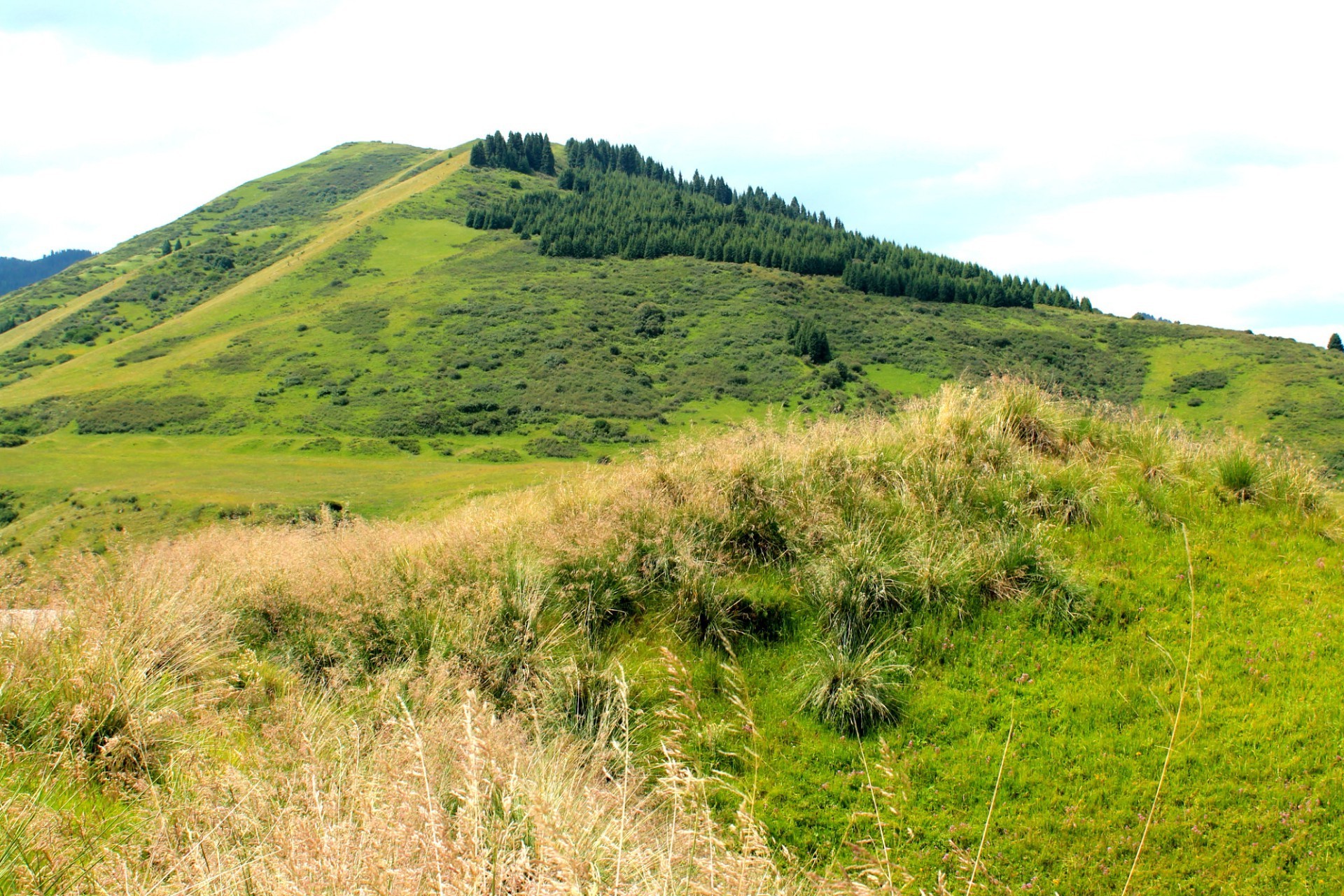 campos prados e vales paisagem natureza grama colina montanhas viagens verão feno céu cênica campo ao ar livre árvore espetáculo flora ambiente rural campo paisagens