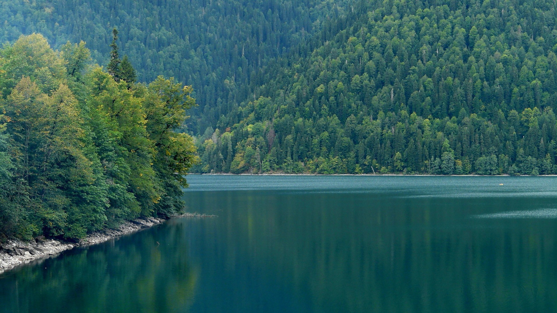 fiumi stagni e torrenti stagni e torrenti acqua paesaggio albero lago natura legno viaggi fiume all aperto luce del giorno scenico cielo riflessione estate