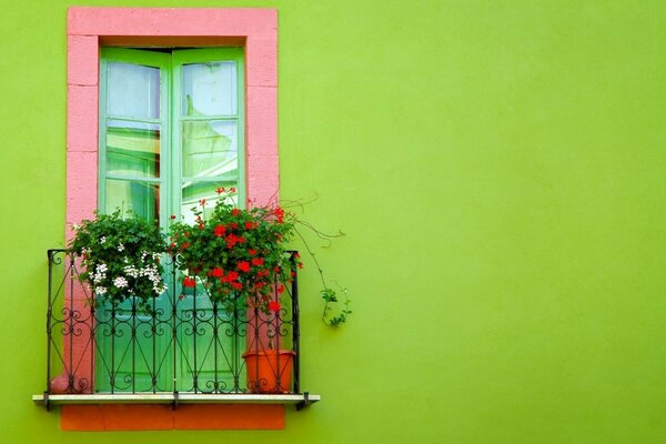 Balcone con fiori su sfondo muro verde