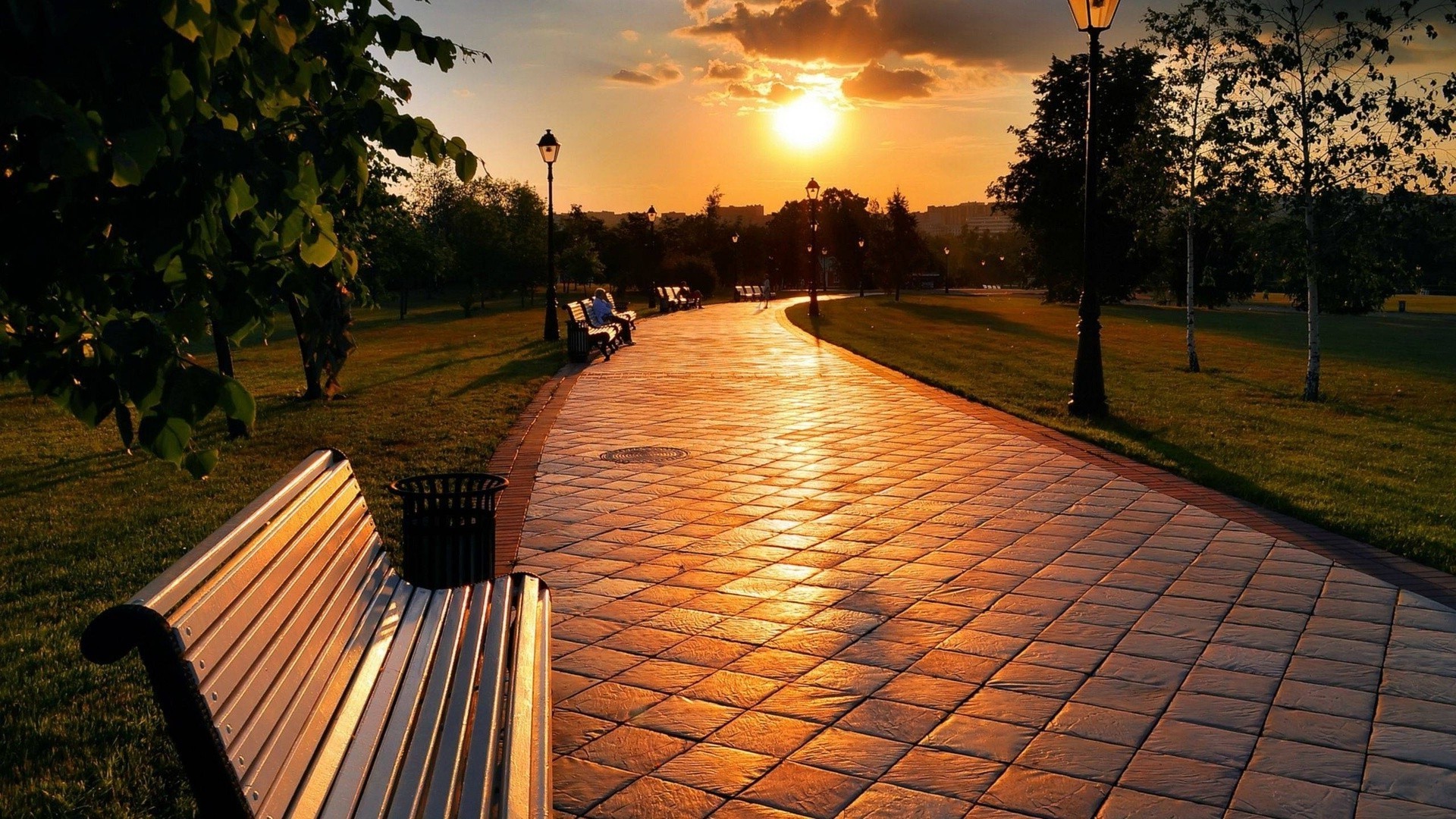 tramonto e alba tramonto viaggi all aperto albero alba luce paesaggio parco natura cielo