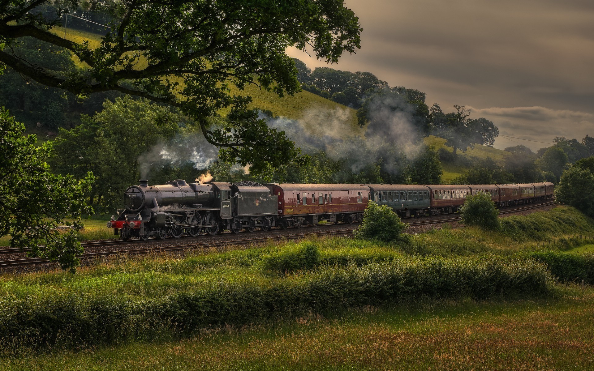 trains vehicle landscape tree transportation system railway outdoors agriculture travel daylight train