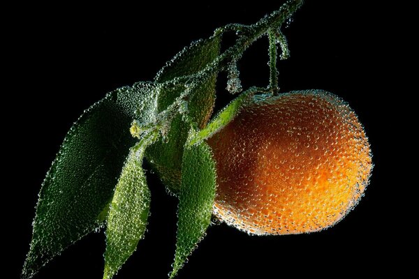 Bubbles on a peach under water