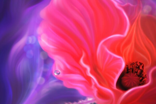 Screensaver per il desktop con il fiore rosso