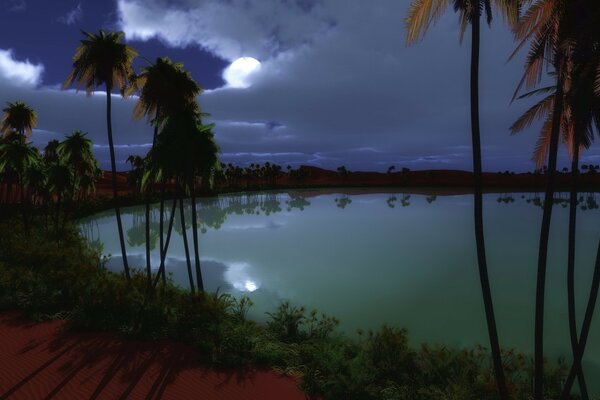 Lagoon among palm trees by moonlight