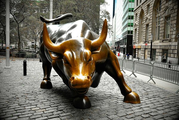 Sculpture of the golden bull in the city