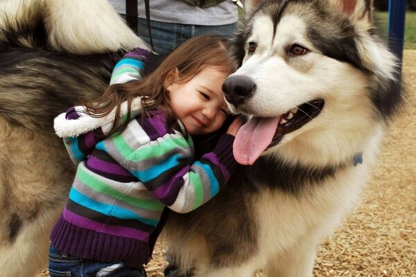 A girl snuggles up to her beloved husky dog