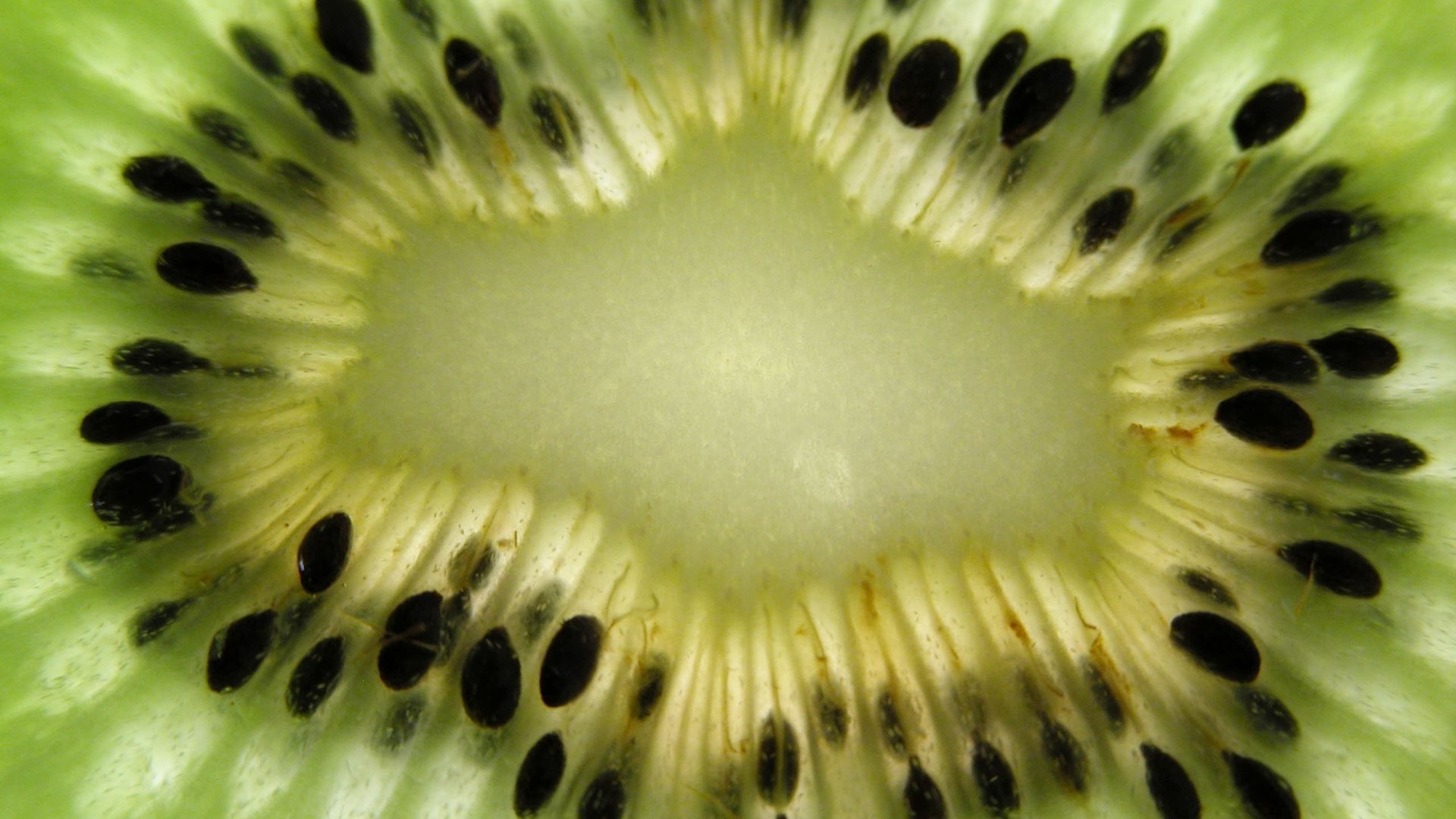 beeren früchte kiwi saftig lebensmittel süßwaren tropisch exotisch teil samen süß gesund farbe gesundheit diät frische desktop natur sommer abschnitt