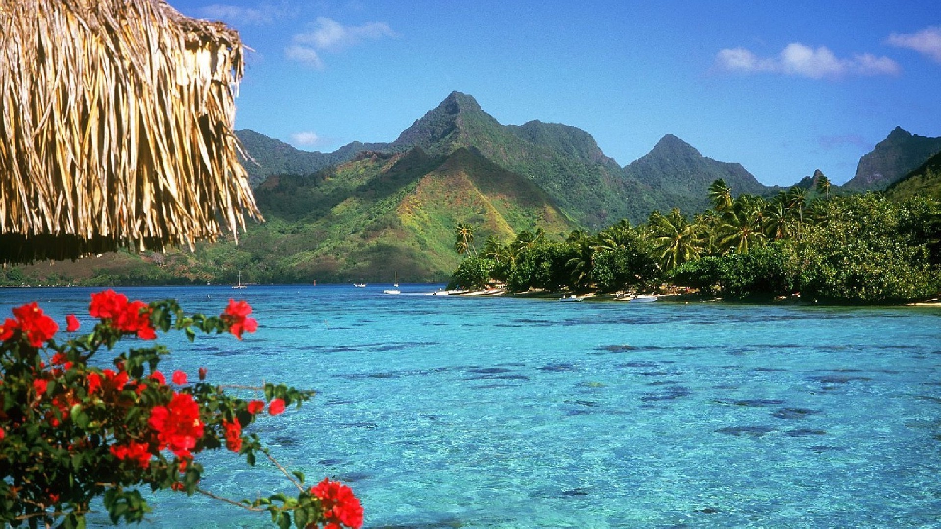 meer und ozean reisen wasser insel meer strand tropisch ozean urlaub meer bucht natur landschaft türkis idylle exotisch lagune sommer landschaft paradies