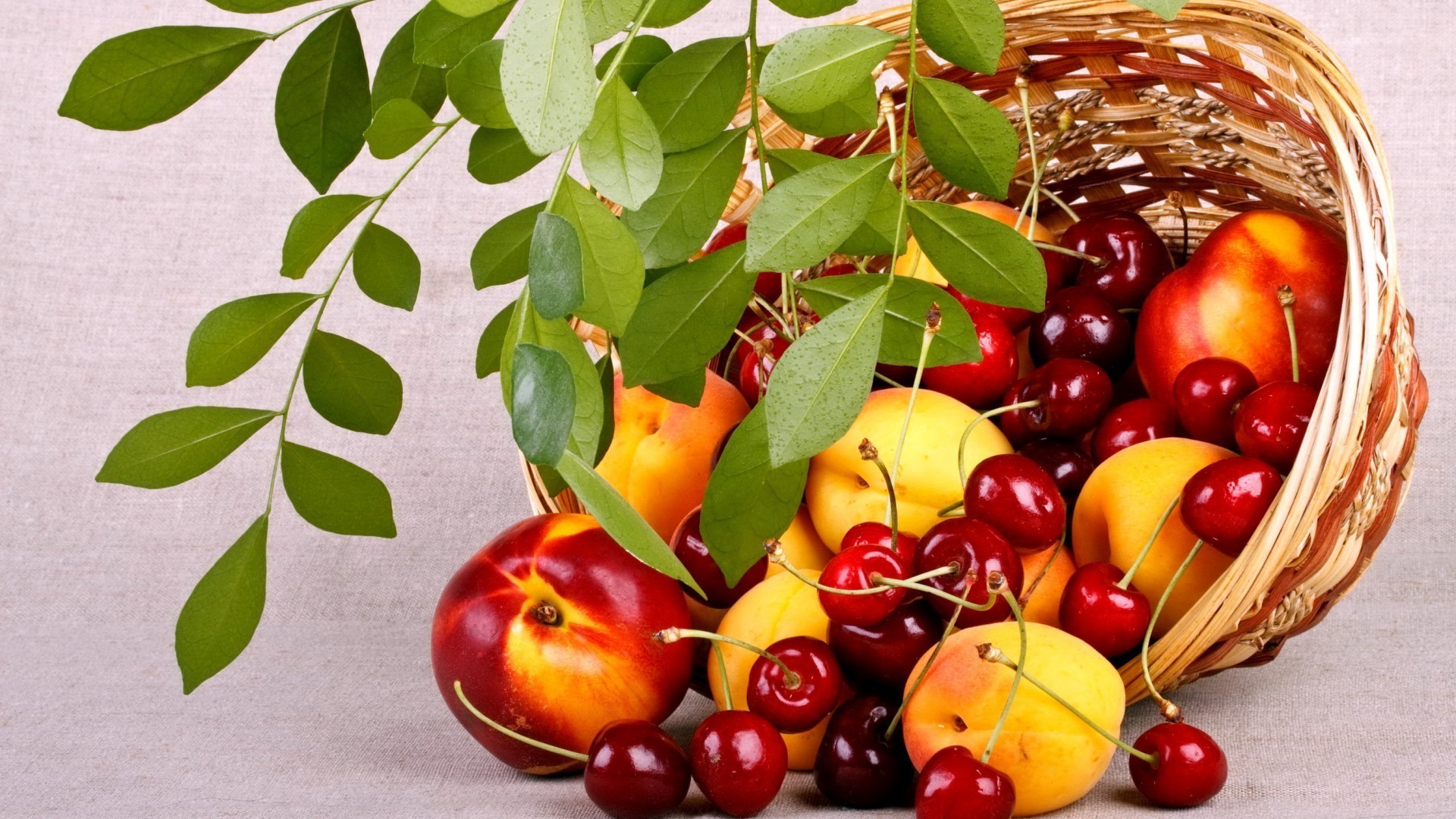 obst blatt essen gesund süßwaren saftig kirsche beere apfel herbst gesundheit süß essen wachsen lecker diät garten lecker